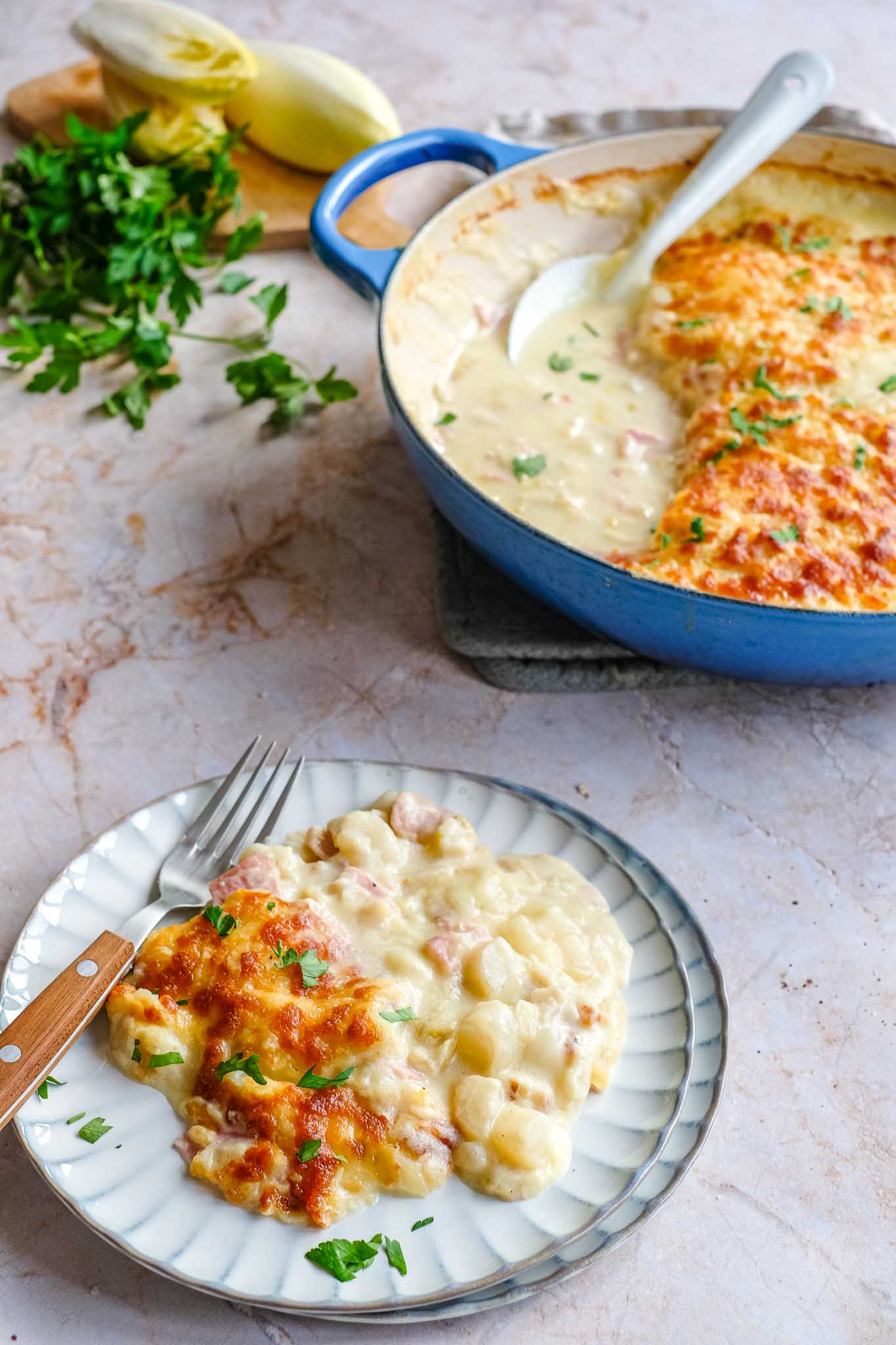 This belgian endive casserole with ham and cheese layers creamy potato mash over savory ham and tender chicory for cozy Belgian comfort food.